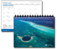 free Mesoamerican-Reef-2013-Calendar
