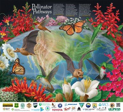 free pollinator poster
