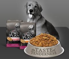free pro plan dog food