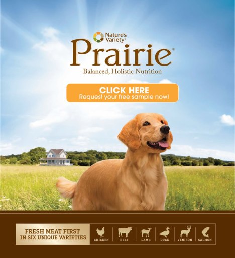 free prairie dog food sample