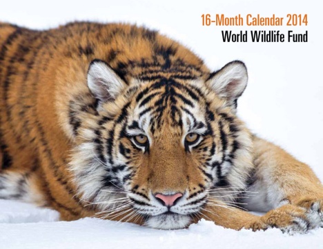 free 2014 wwf calendar